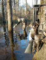 Duck Blind Deer Stand Quick Release Model 110QR